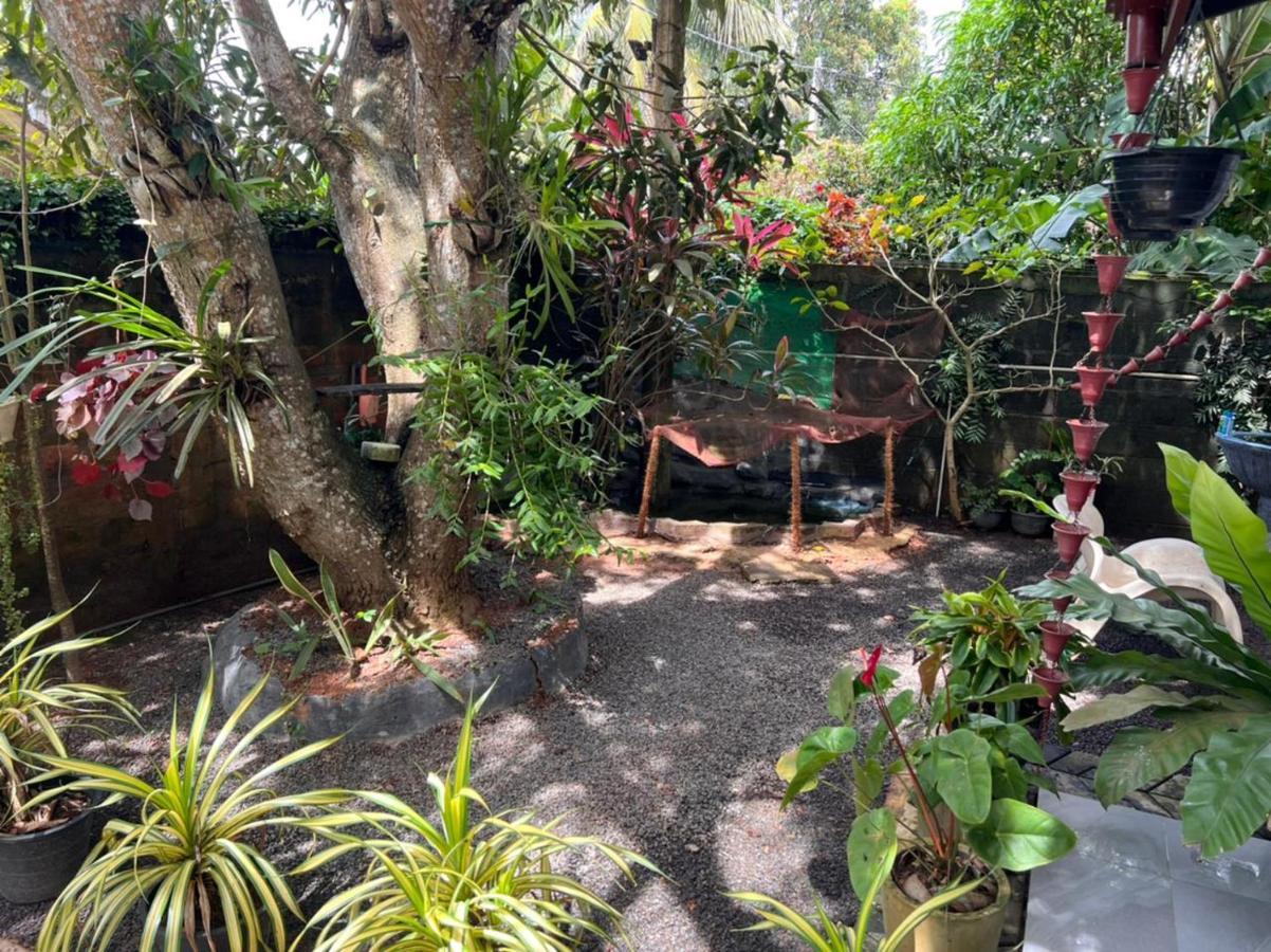 Jungle Reef Rest Mirissa Exterior photo